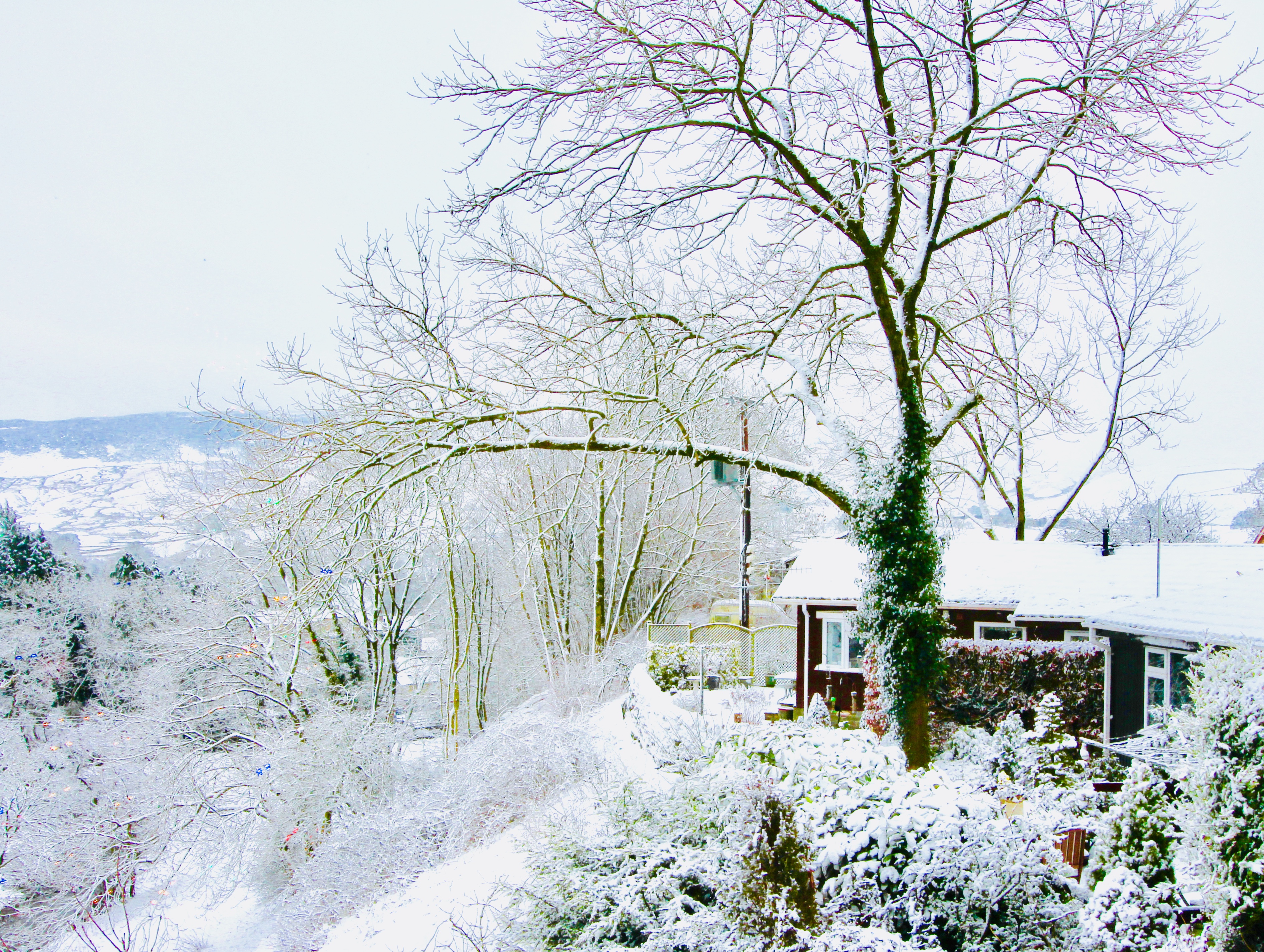 Red house in the snow